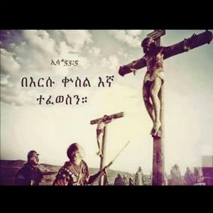 Meet your Posher, Tigist